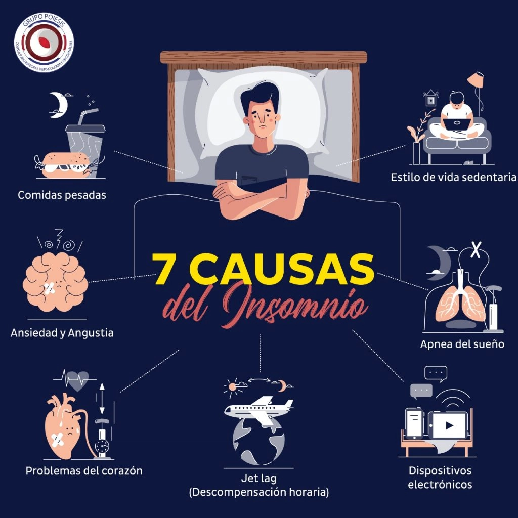 Infografia de las 7 causas del insomnio